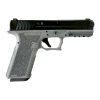 P80 Complete Pistol Pfs9 Grey picture